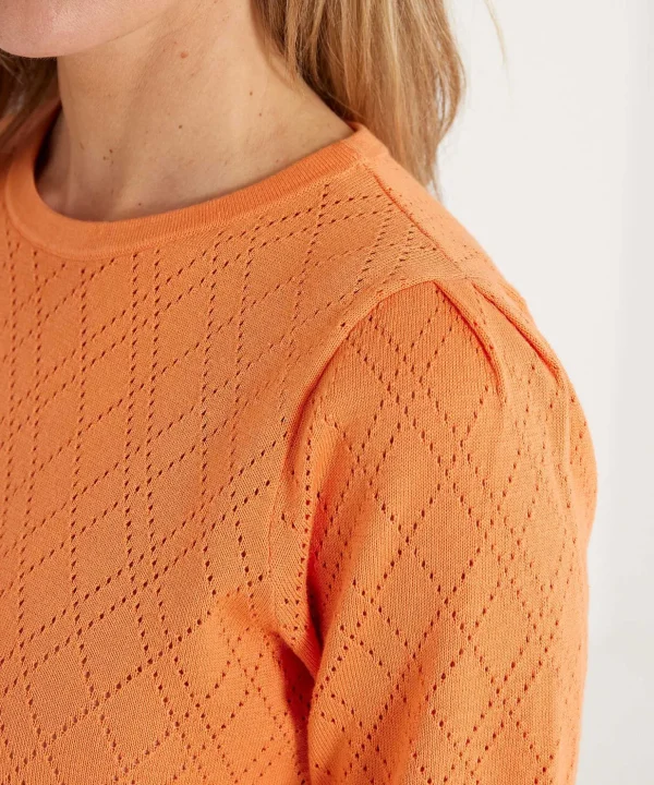 Openwork Sweater Wieber** New